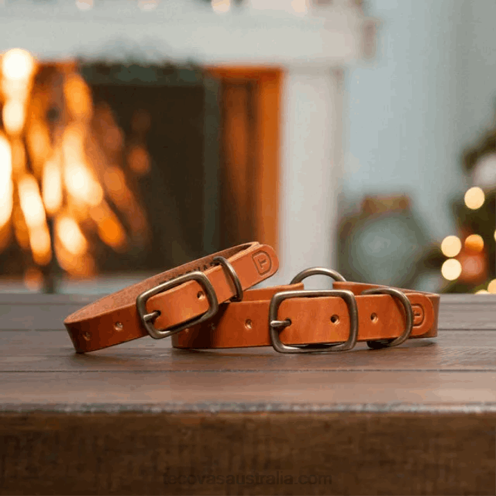 Bourbon Dog Collar Tecovas 62NN94