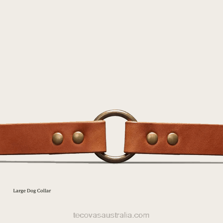 Bourbon Dog Collar Tecovas 62NN94