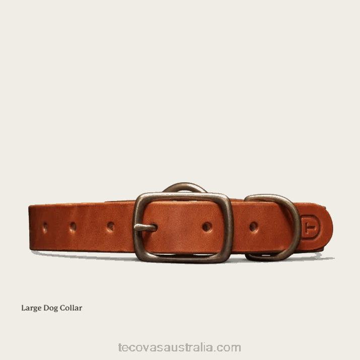 Bourbon Dog Collar Tecovas 62NN94