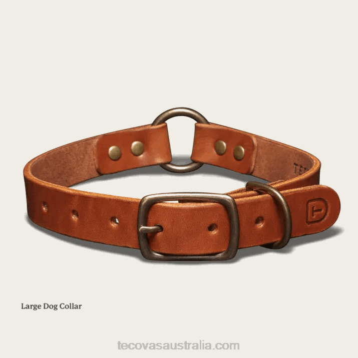 Bourbon Dog Collar Tecovas 62NN94