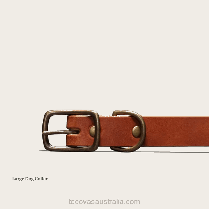 Bourbon Dog Collar Tecovas 62NN94