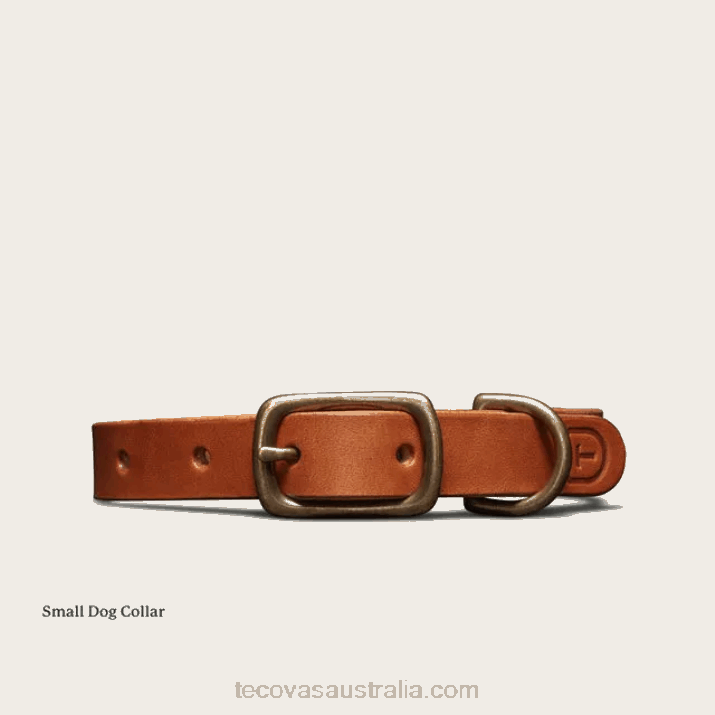 Bourbon Dog Collar Tecovas 62NN94