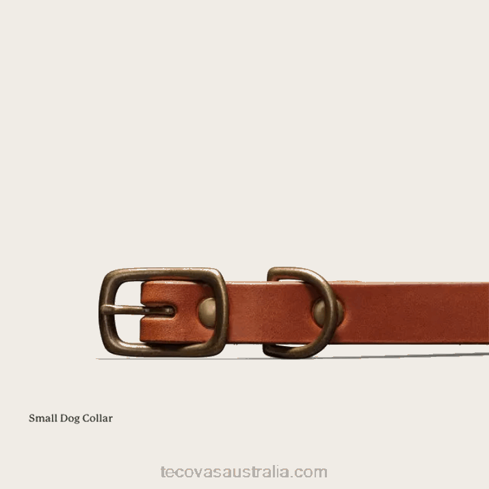 Bourbon Dog Collar Tecovas 62NN94