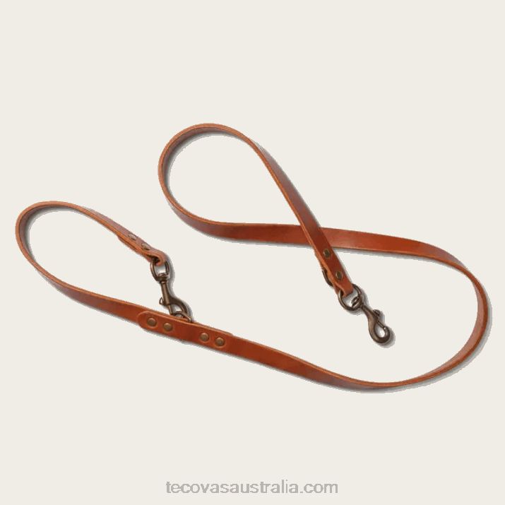 Bourbon Dog Leash Tecovas 62NN95