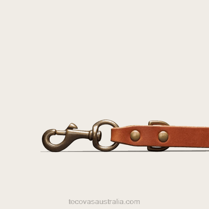Bourbon Dog Leash Tecovas 62NN95