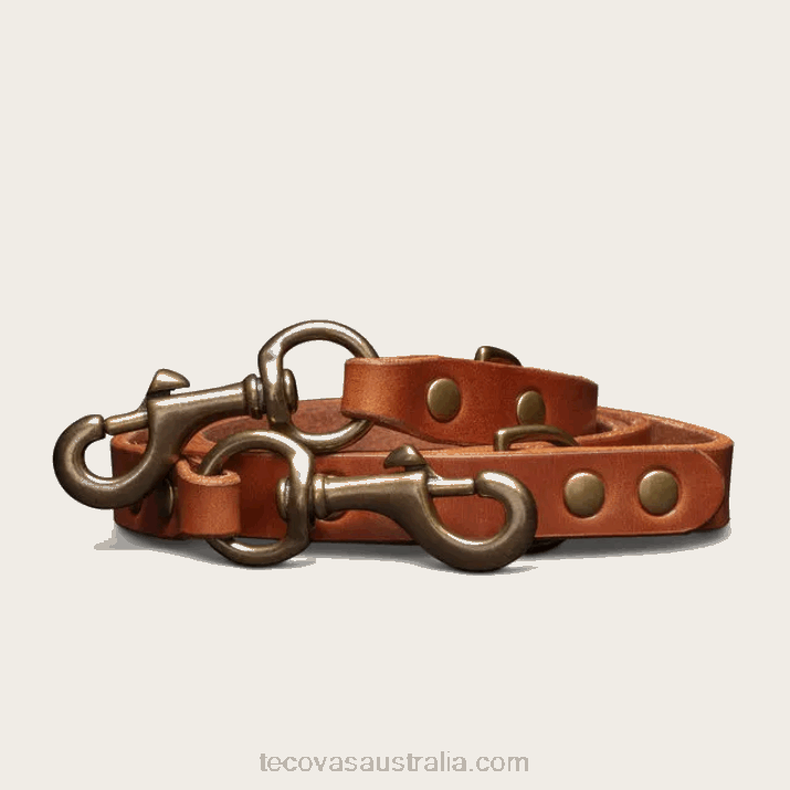 Bourbon Dog Leash Tecovas 62NN95
