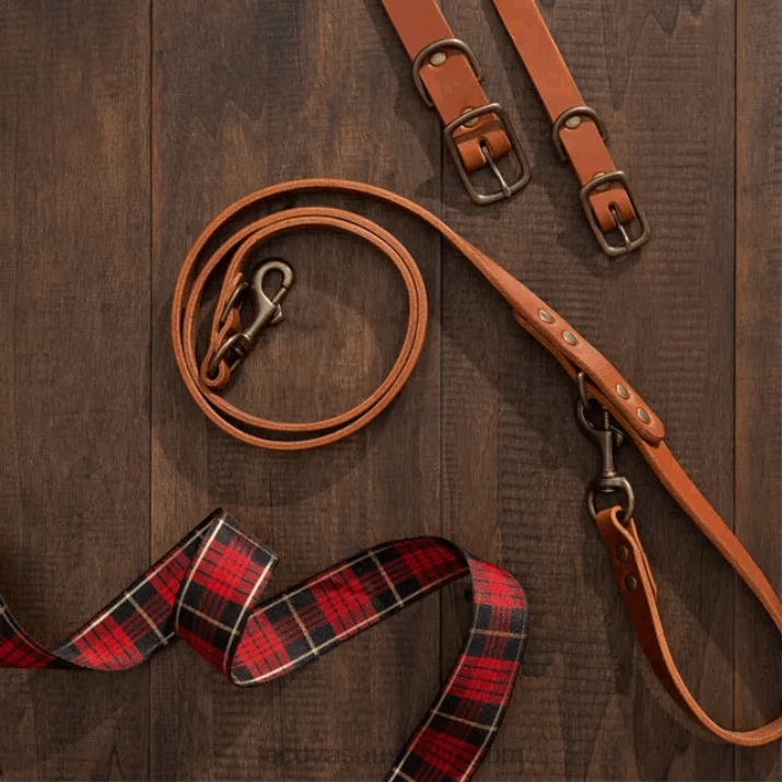 Bourbon Dog Leash Tecovas 62NN95