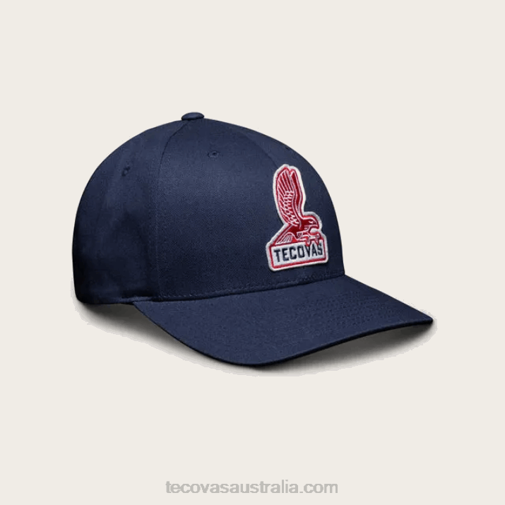 Obsidian Redtail Six-Panel Hat Tecovas 62NN79