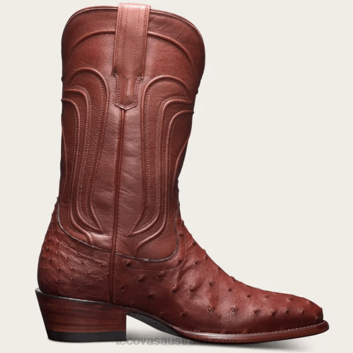Women Bourbon Ostrich The Jessie Tecovas 62NN122