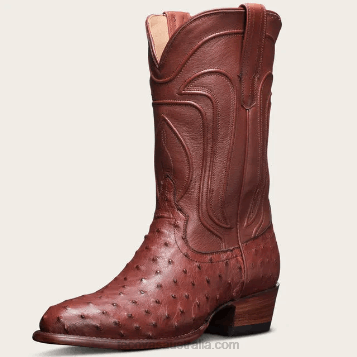 Women Bourbon Ostrich The Jessie Tecovas 62NN122
