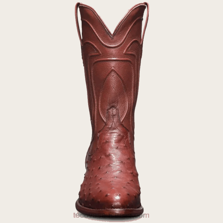 Women Bourbon Ostrich The Jessie Tecovas 62NN122