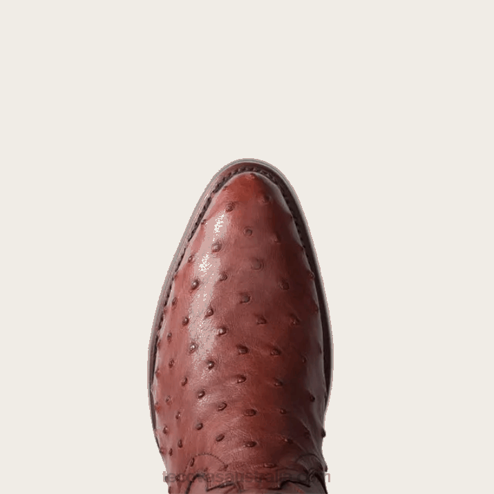 Women Bourbon Ostrich The Jessie Tecovas 62NN122